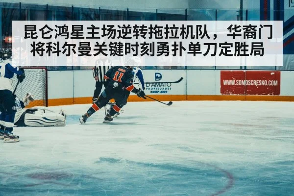 ice hockey match action